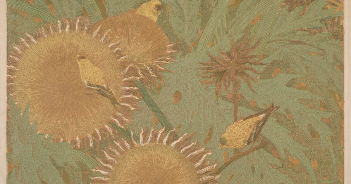 Finches and Artichokes
