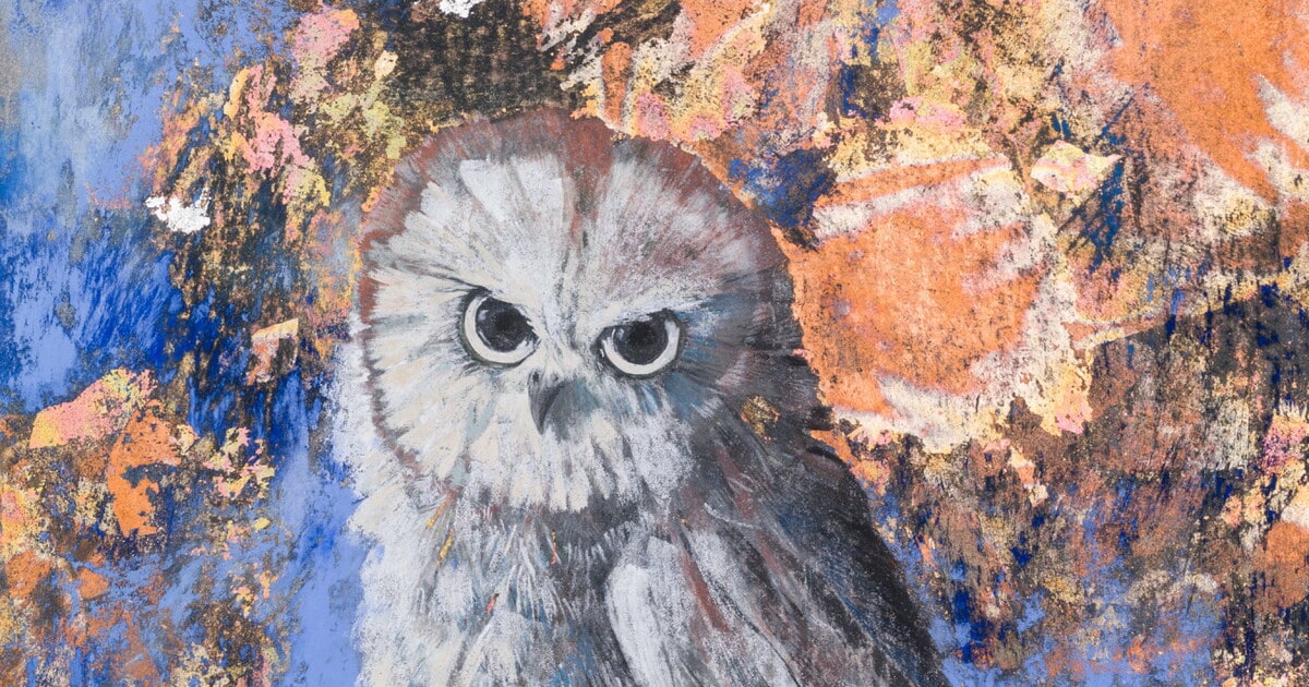Owl with a Cosmic Sky