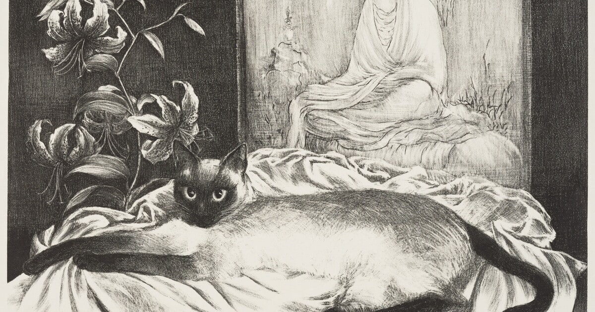 The Aristocrat