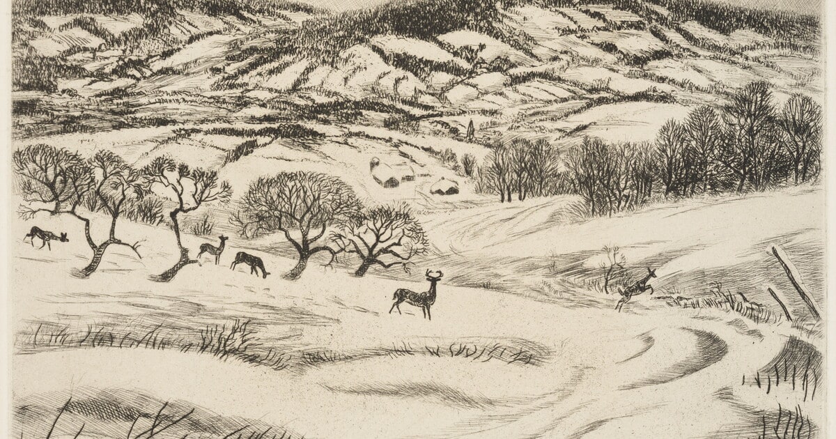 Wintry Fields