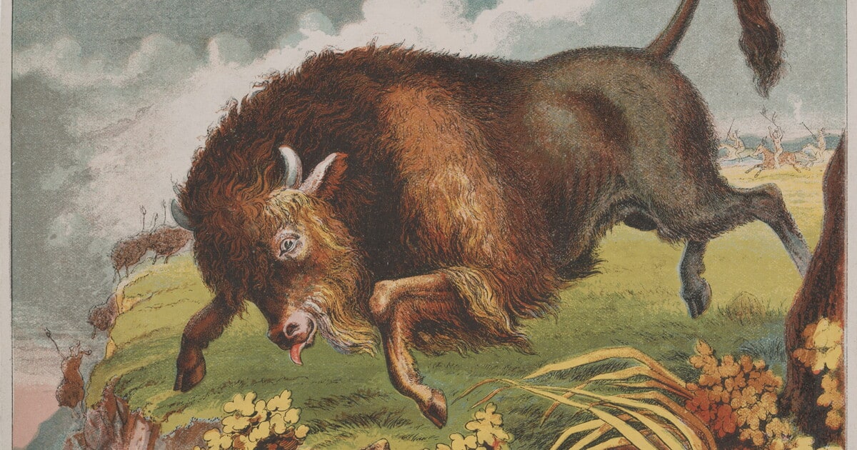 [Buffalo stampeding]