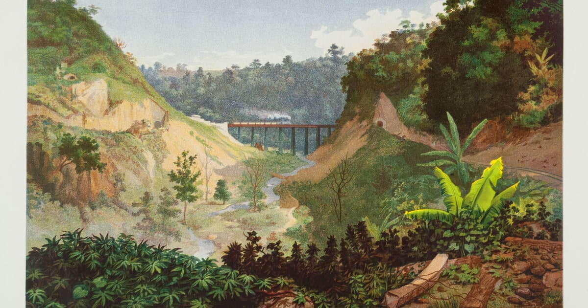 Barranca de Metlac.