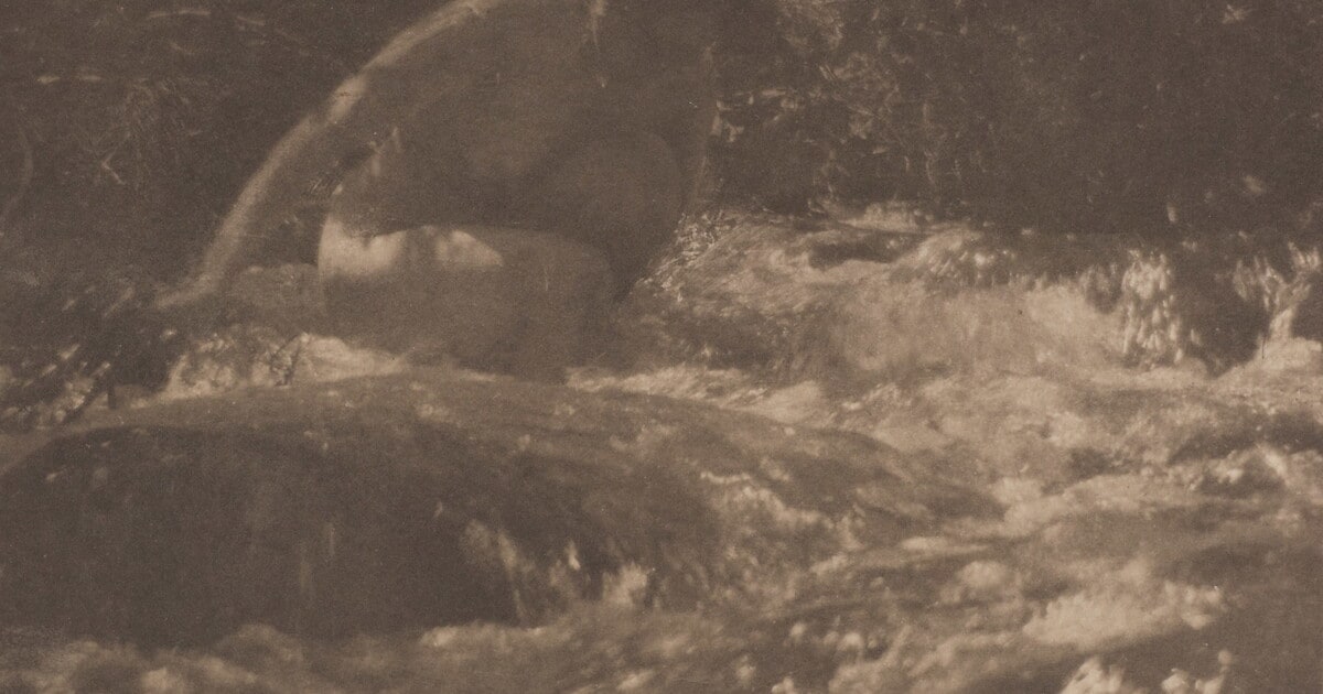 The Brook