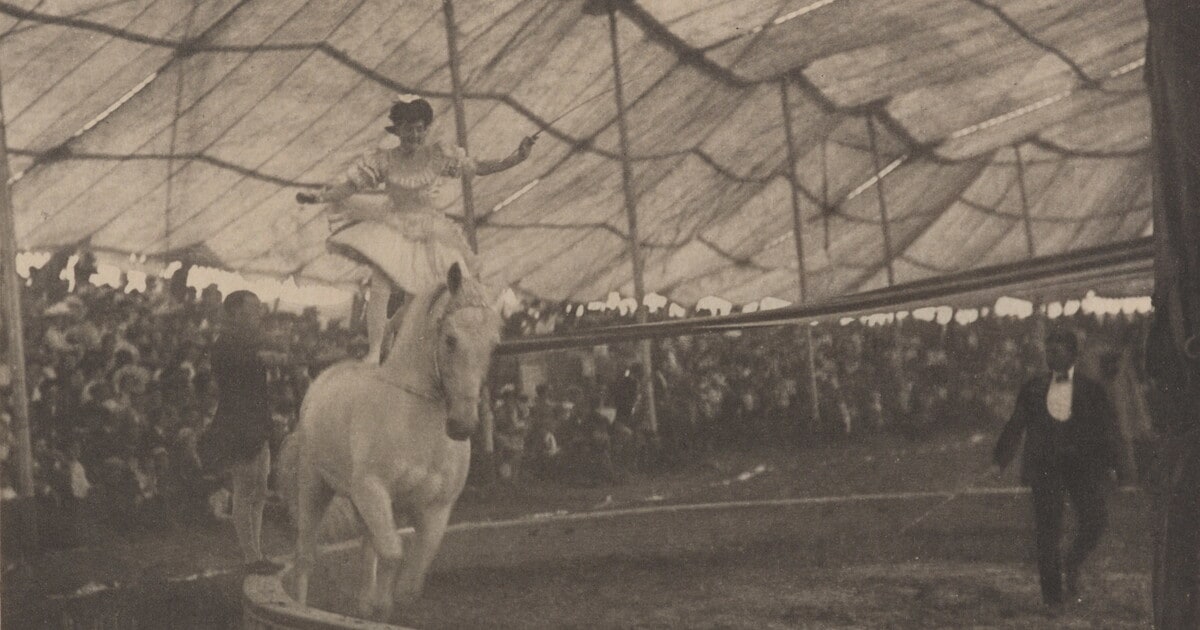 In the Circus