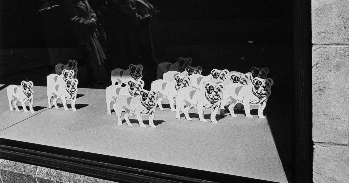 Window Display, New York