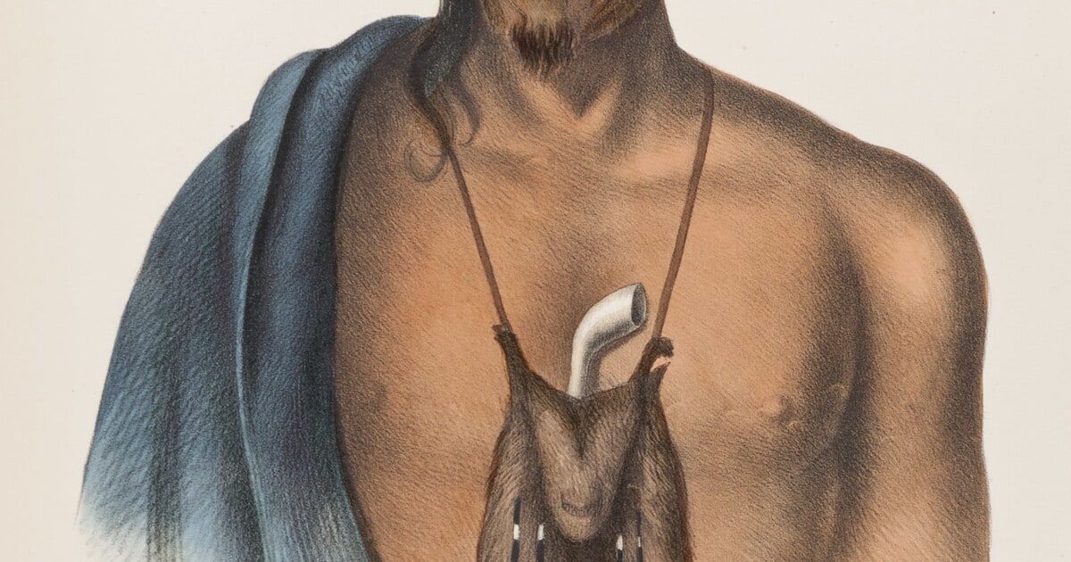 Tish-Co-Han, a Delaware Chief
