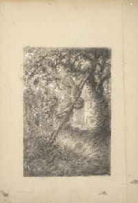 The Apple Picker (Cueilleuse de pommes)