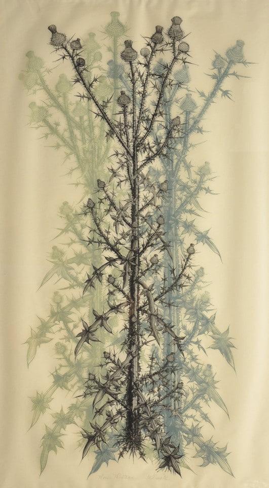 Three Thistles