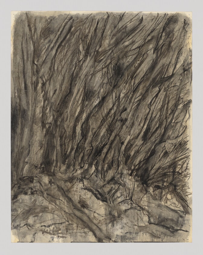 Untitled black landscape (Abstract grasses)