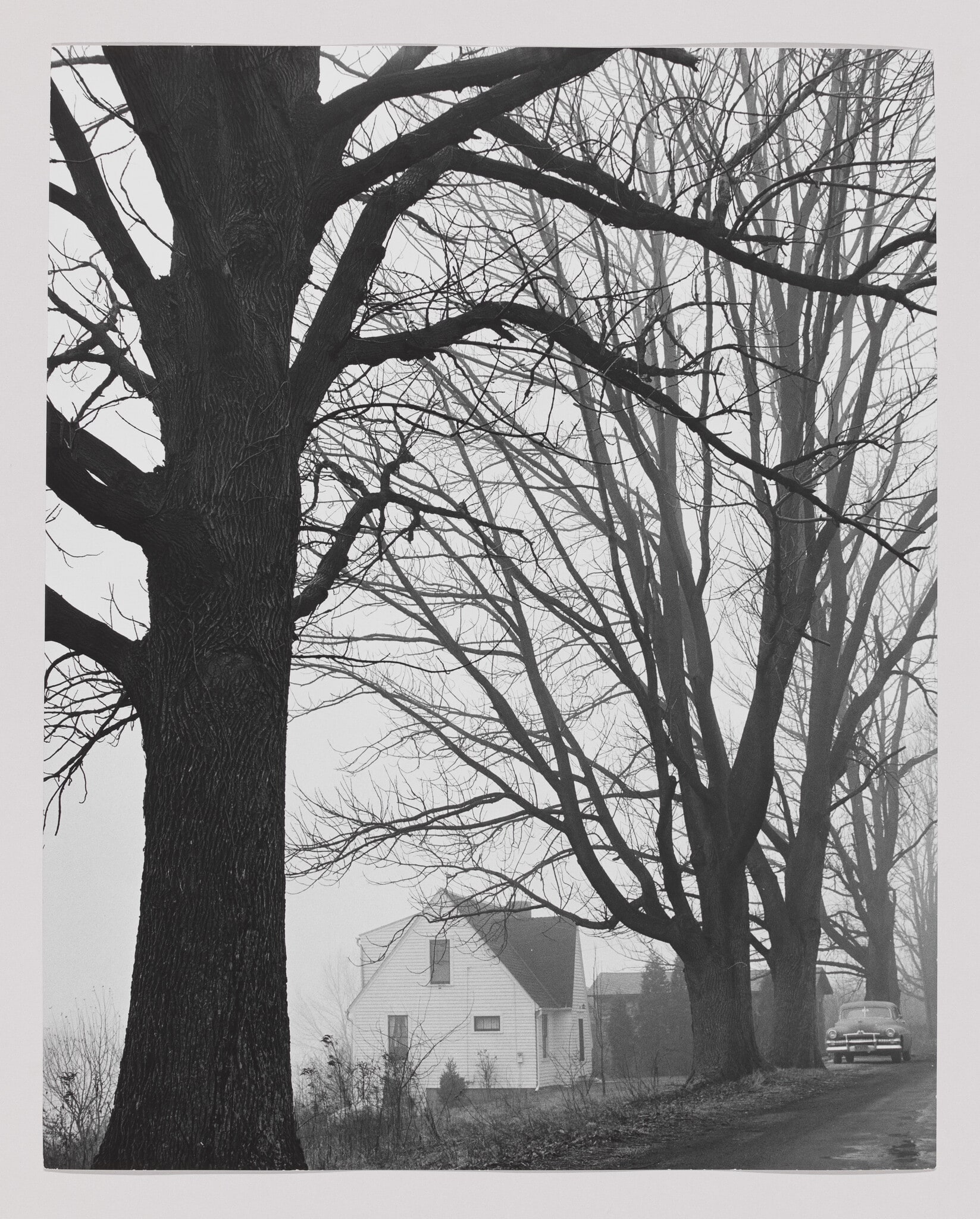 House in Mist