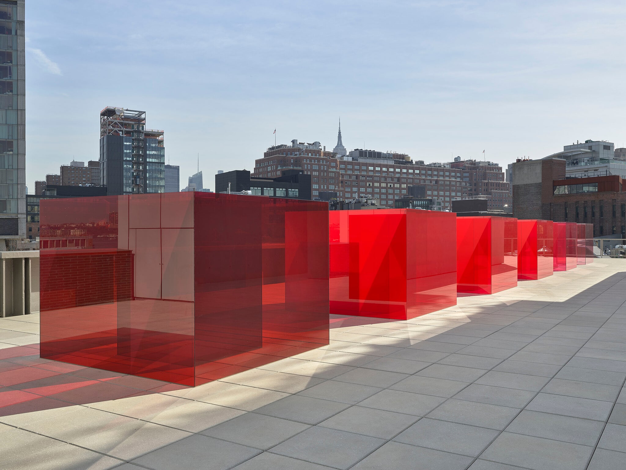Pacific Red (V)