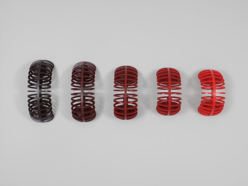 Red Vertebrae