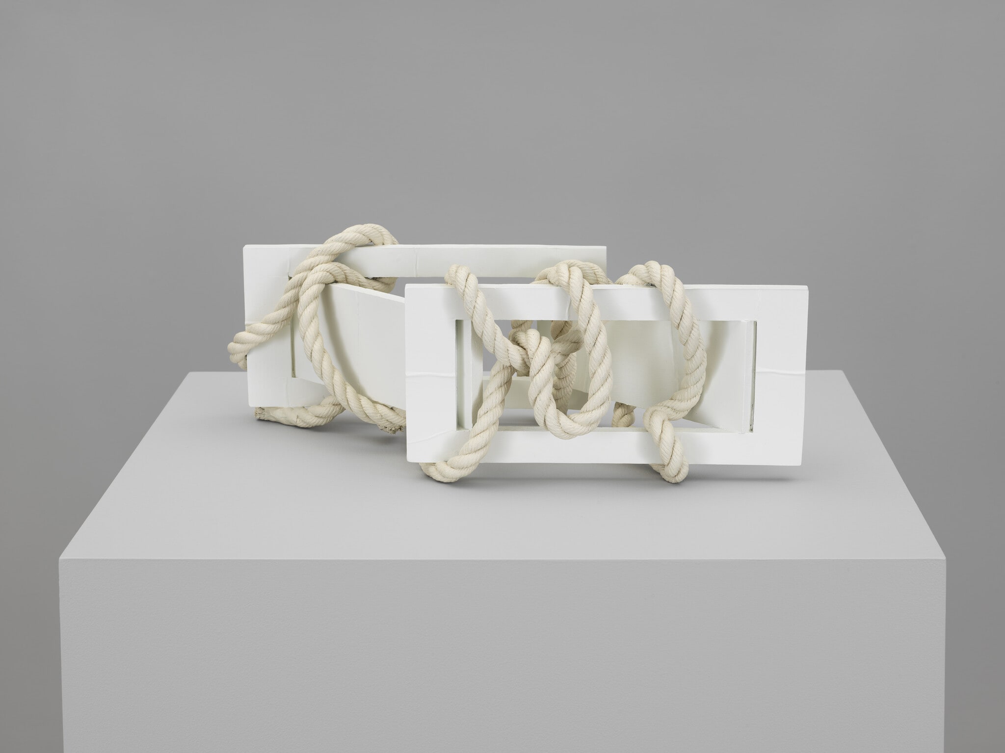 Skewed Open Structure with Rope #6