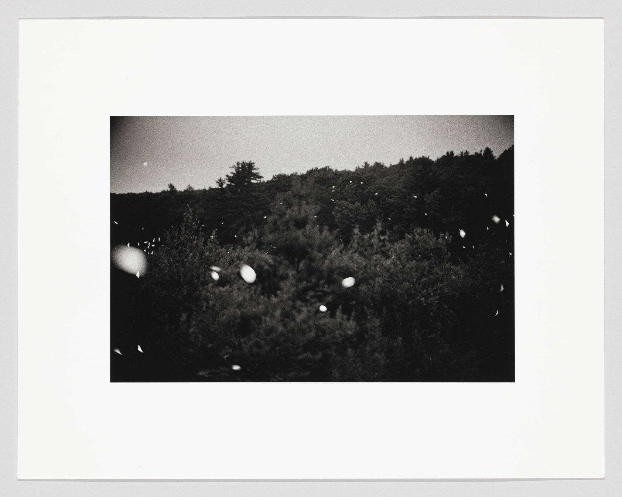 Untitled (51-35)