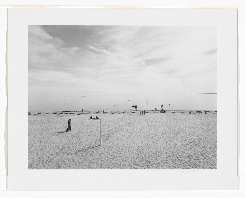 Cape Cod