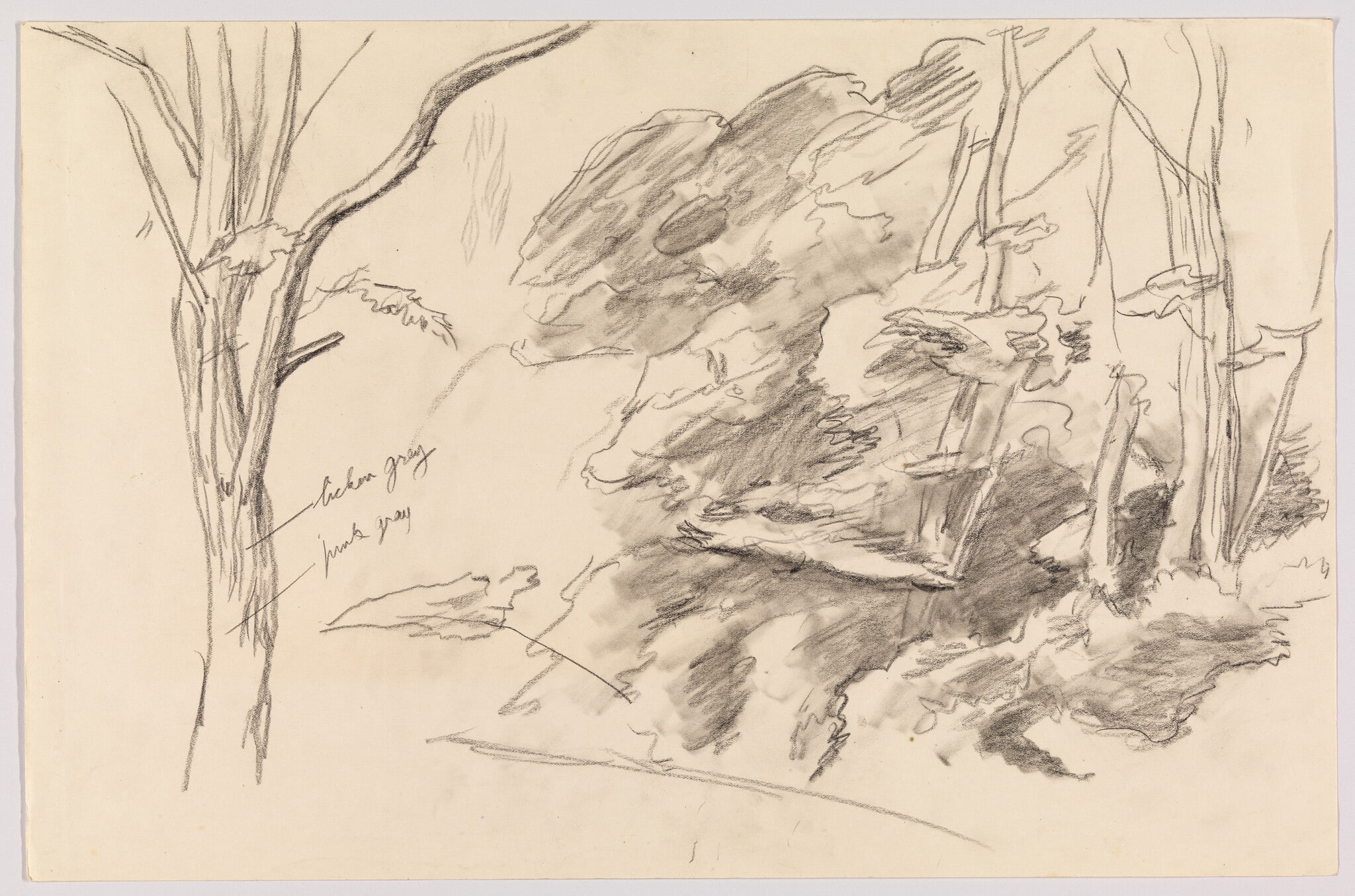 (Study of Foliage)