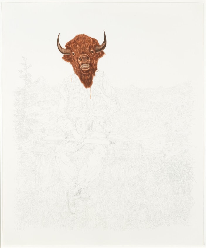 Man and Buffalo