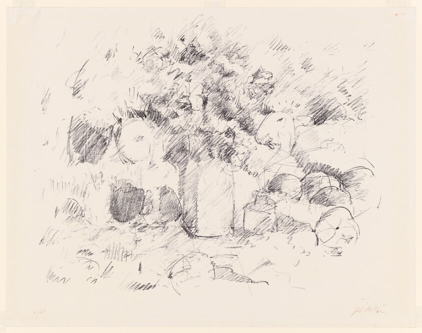Still Life