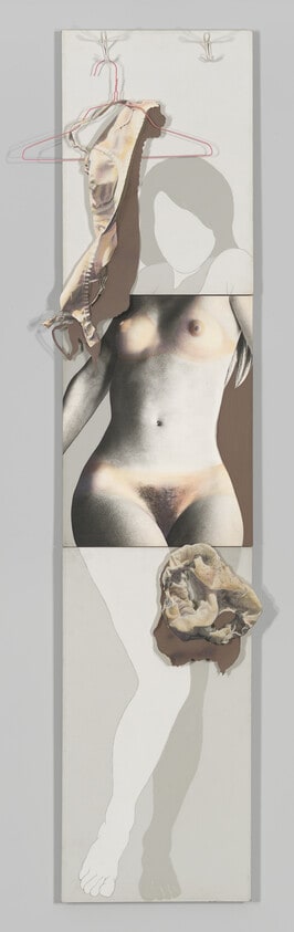 Lingerie for a Feminist Suntan #3