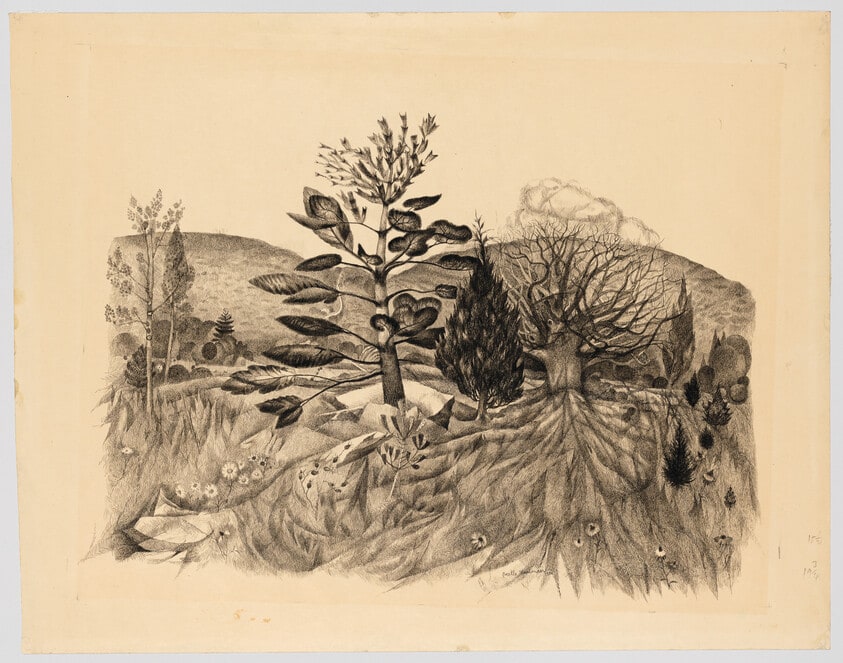 Landscape