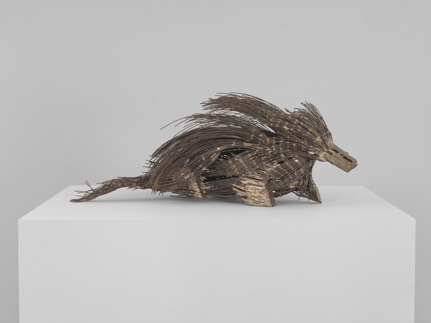 Porcupine