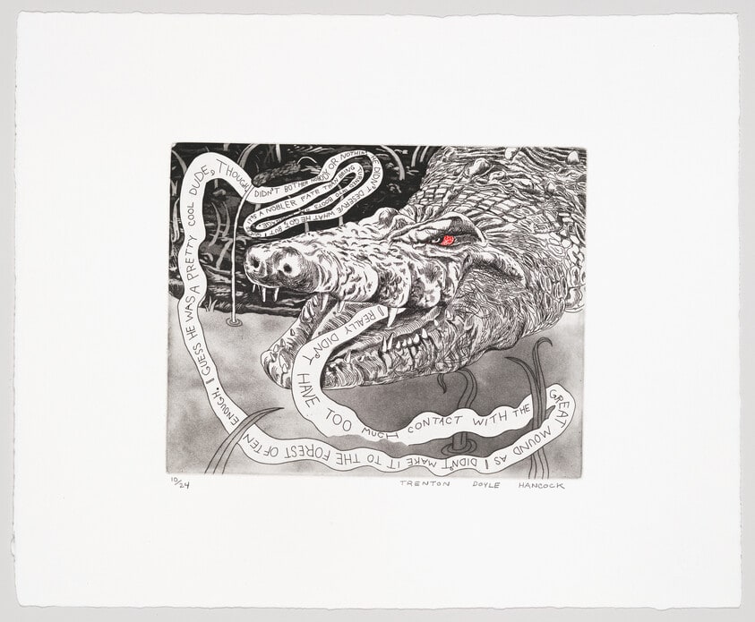 Alligator