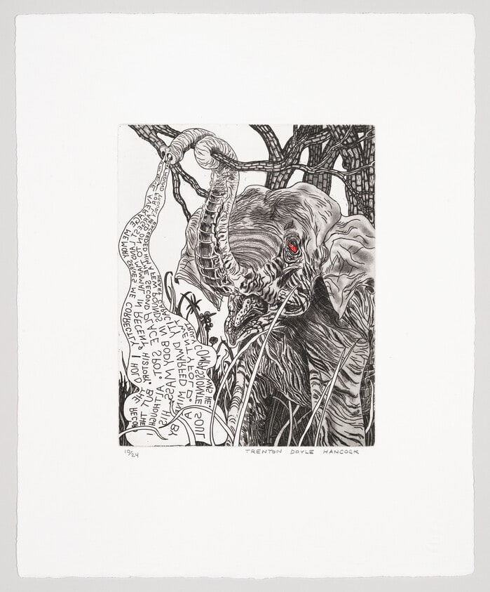 Elephant
