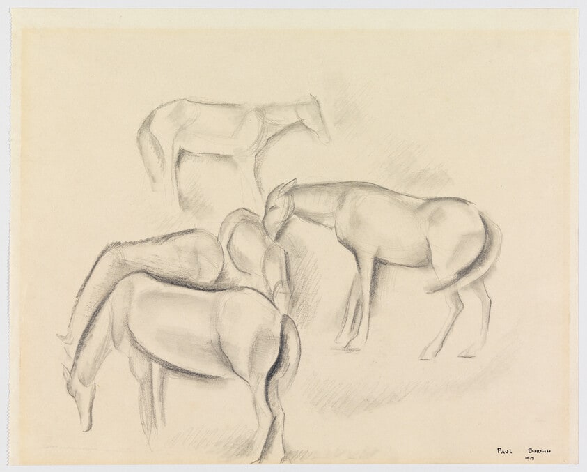 Horses