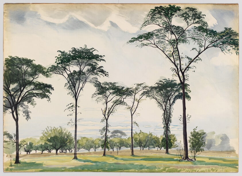 September Elms
