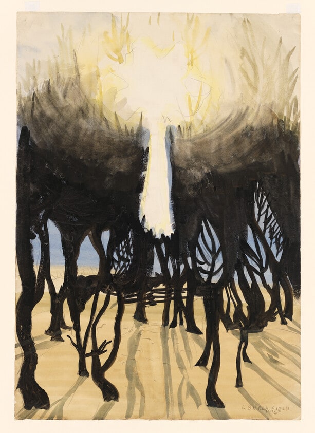 Sunlight in Forest