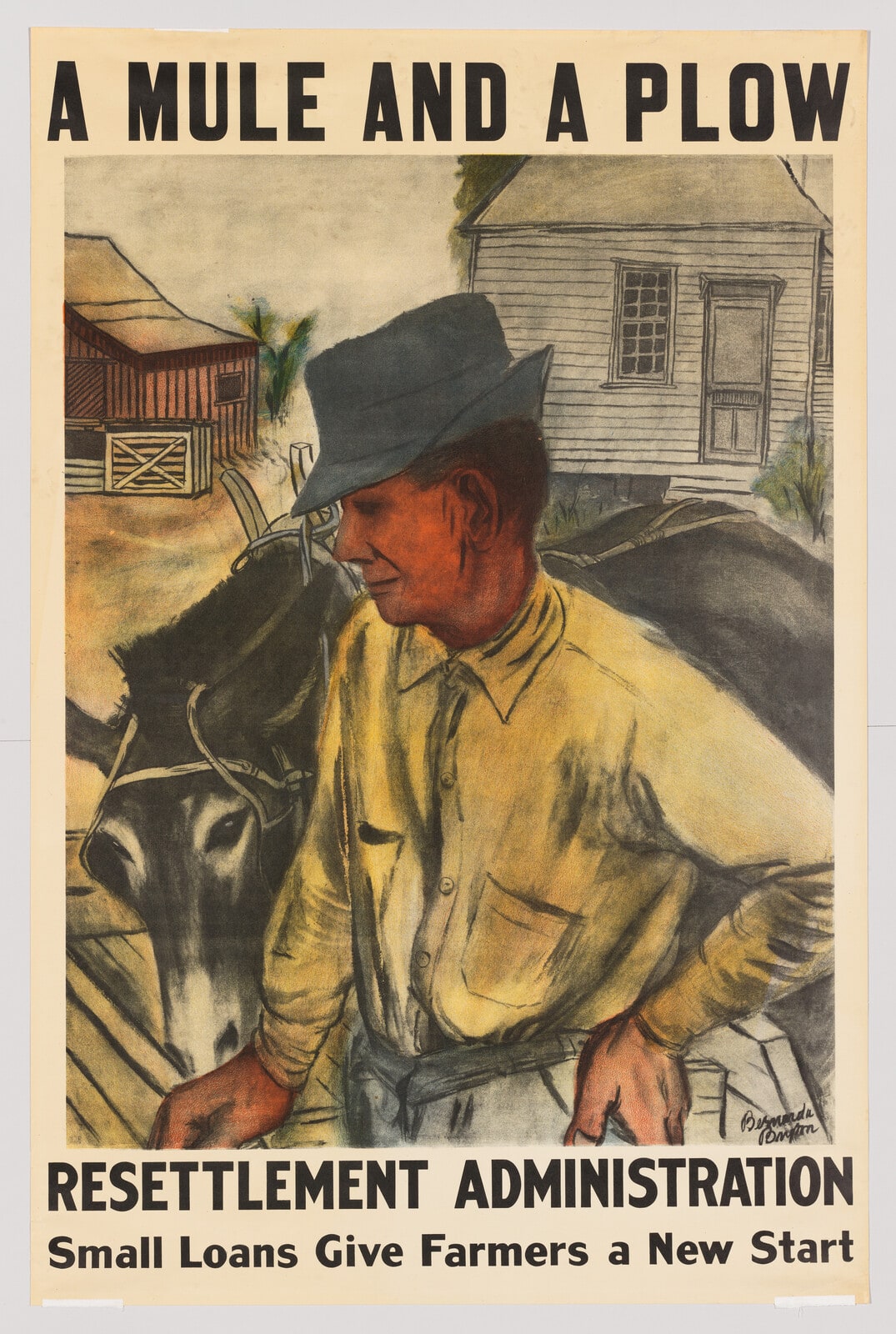 A Mule and A Plow