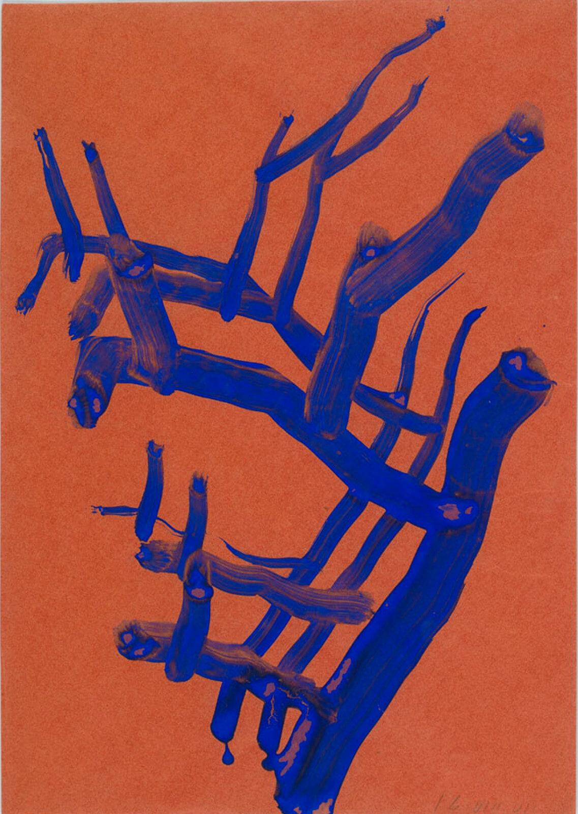 Blue Coral (Giallo di Napoli)