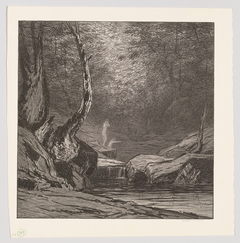 The Crooked Tree