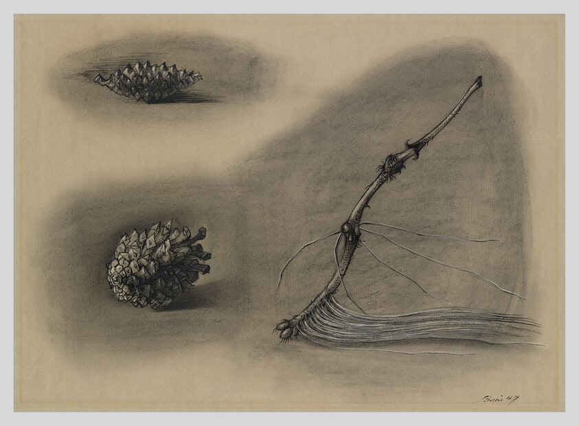 Pine Cones and Twigs