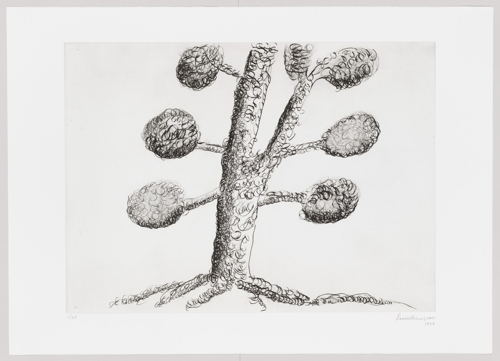 Tree with Split Trunk