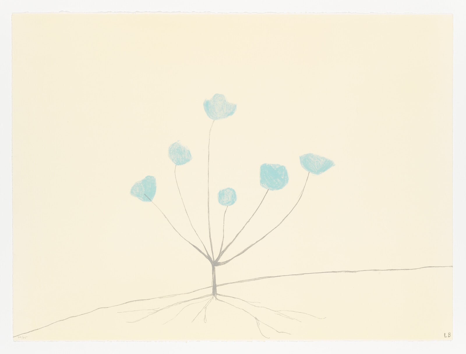 A Flower in the Forest