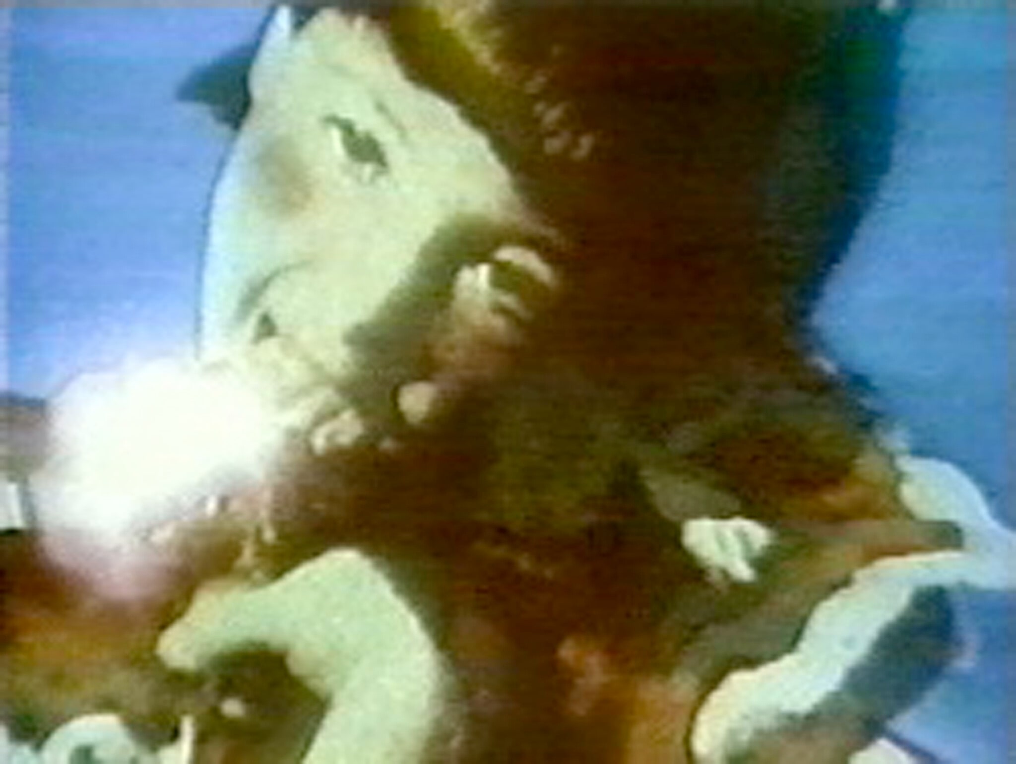 PM Magazine/Acid Rock