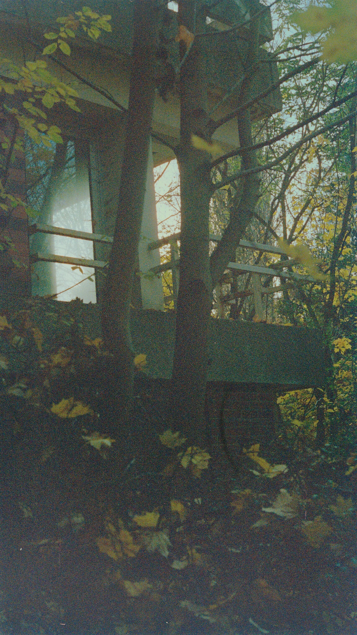 Travel Picture Fern [Tschaikowskistrasse 17 in multiple exposures* (LAXFRATHF/TXLCPHSEALAX) March 27 - April 3, 2006] *Contax G-2, L-3 Communications eXaminer 3DX 6000, and InVision Technologies CTX 5000, 2006-08