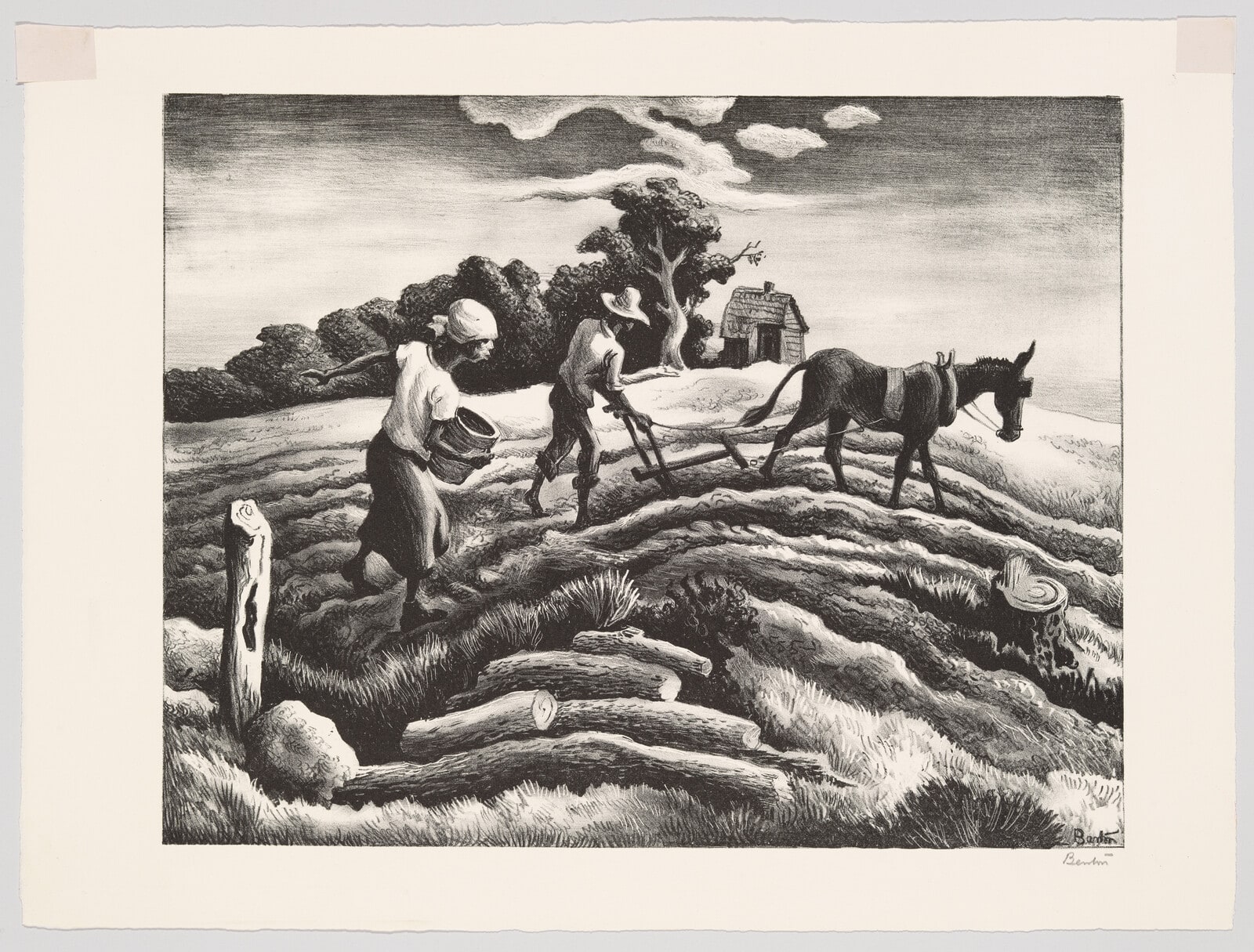 Planting