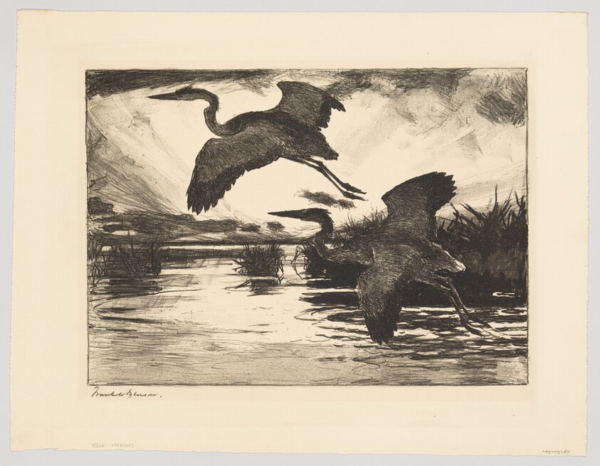 Blue Herons