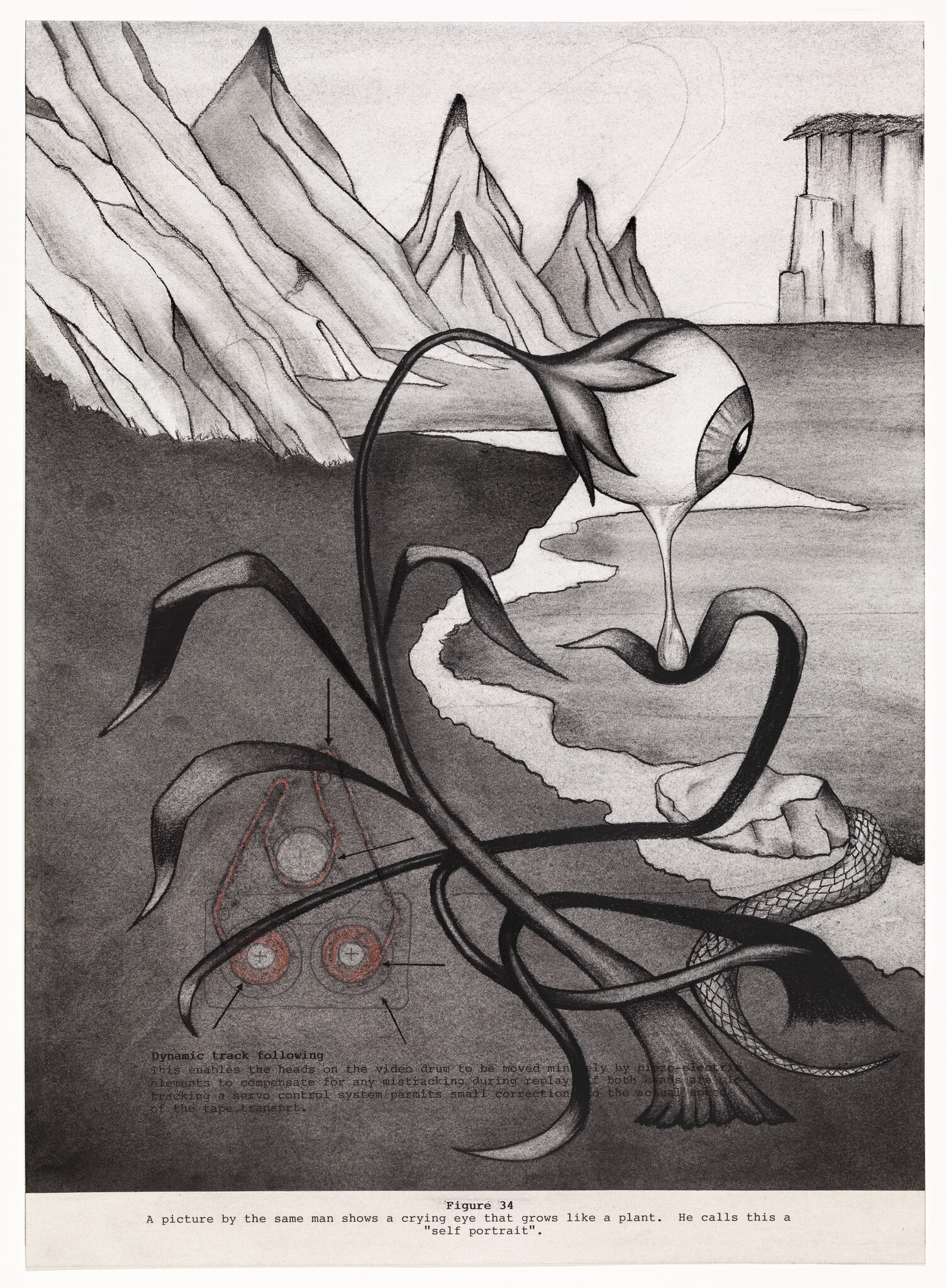 Untitled ("The Video Manual" by David Cheshire / "Art as Healing" by Edward Adamson)