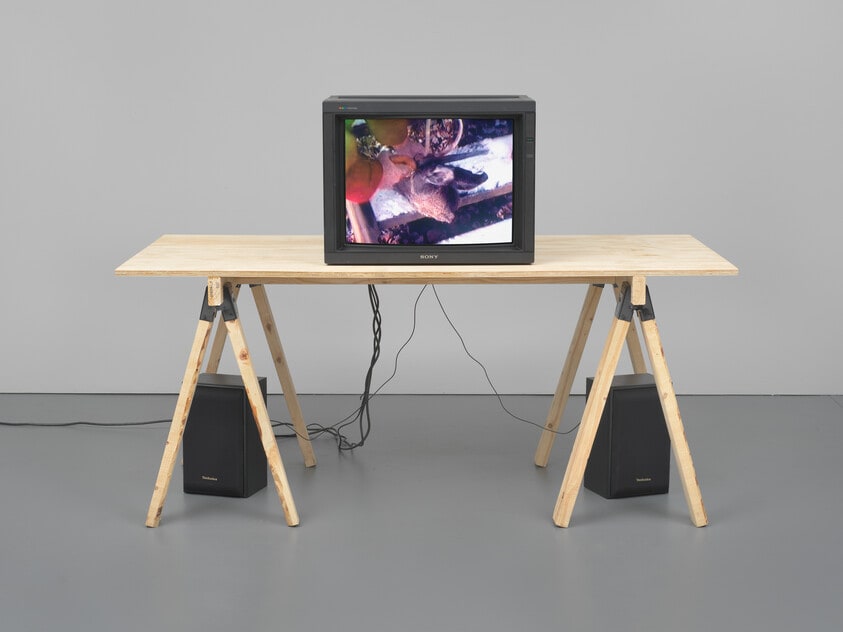 Untitled (The Spike Buck)