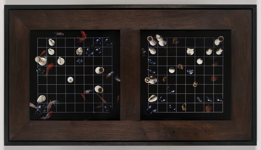 Checkmate-on-Pond (Black)