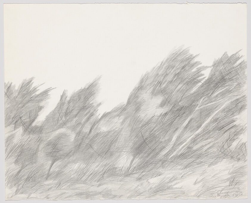 The Wind