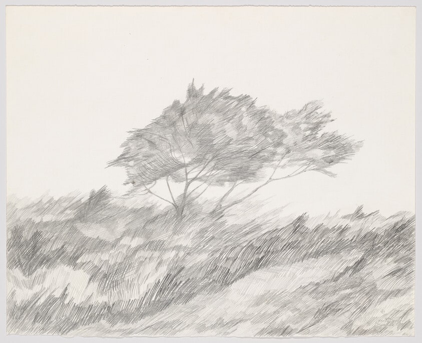Two Trees