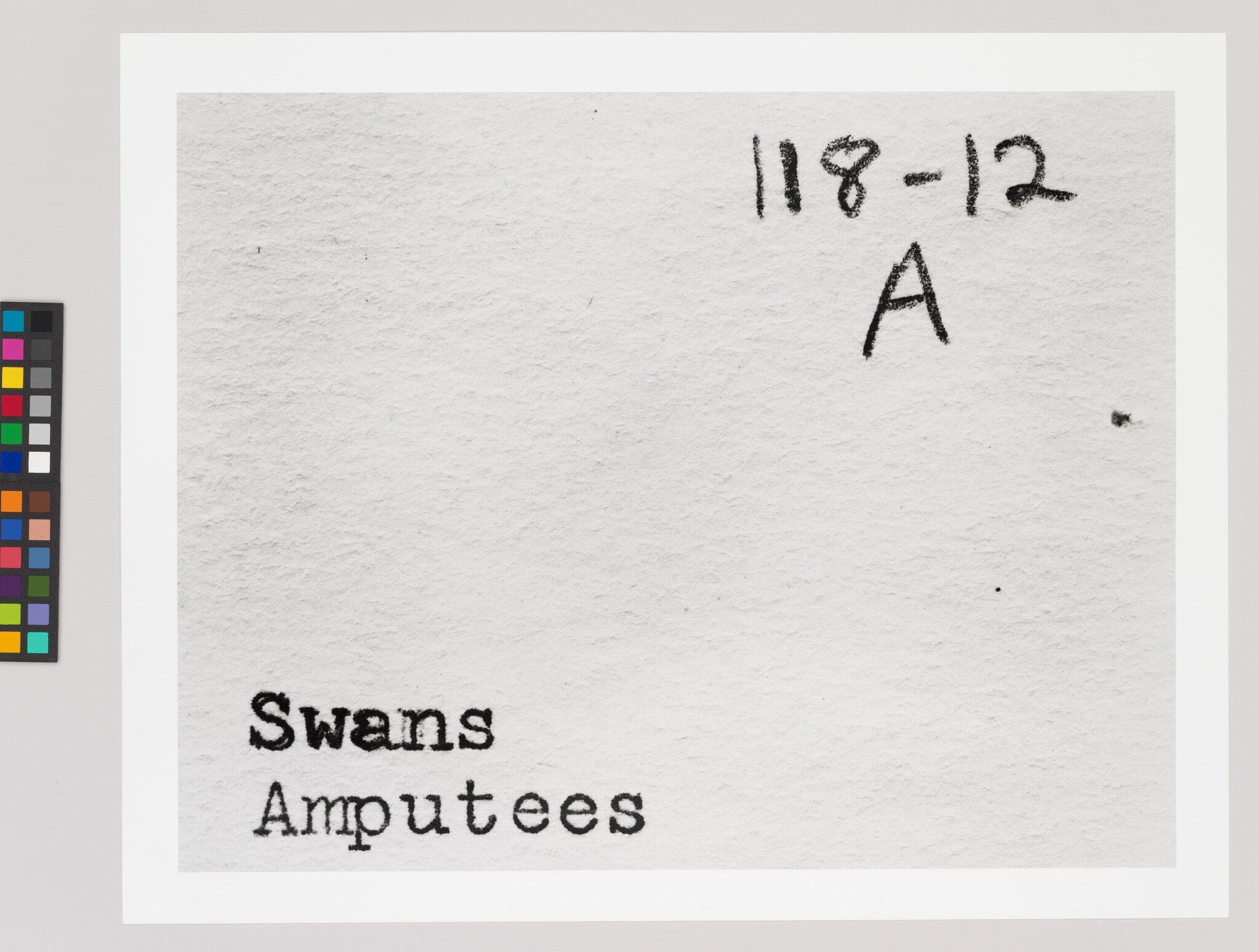 Untitled (Swans Amputees)