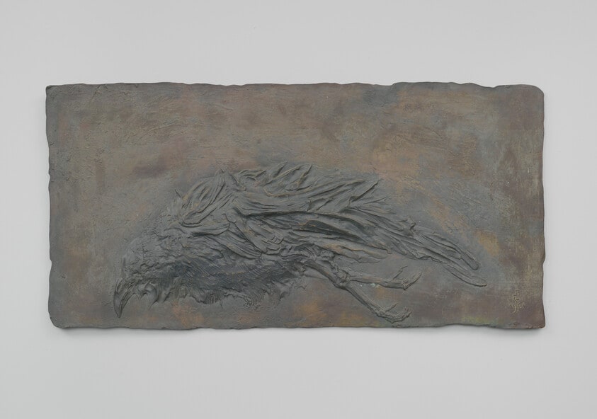 Horizontal Bird