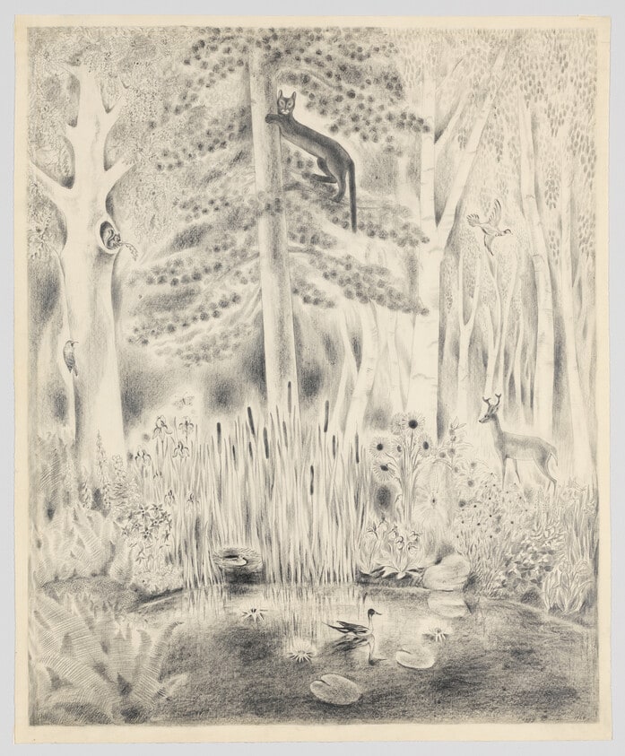 Wild Garden