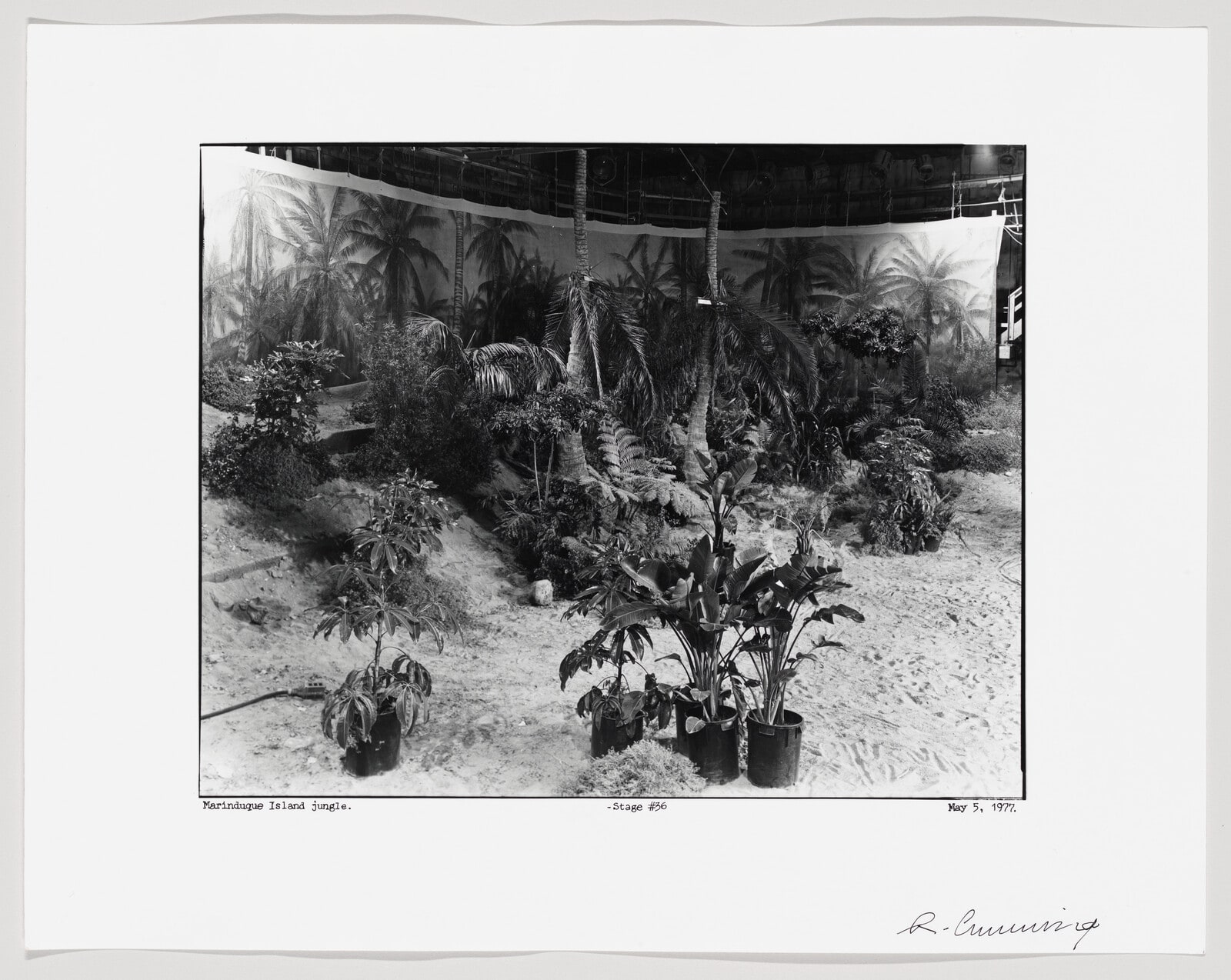 Marinduque Island Jungle-Stage #36