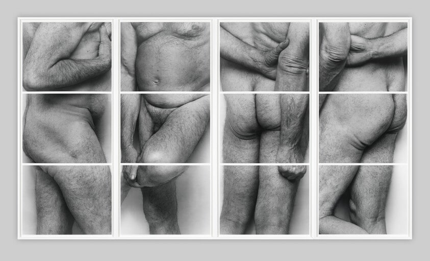 Frieze, No. 2, Four Panels
